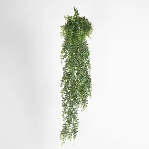 Green Hanging Baker Fern x 14 by Florabelle Living, a Plants for sale on Style Sourcebook