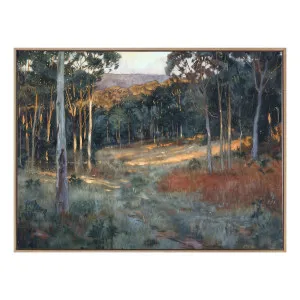 First Morning Sun Box Framed Canvas in  123 x 93cm by OZ Design, a Painted Canvases for sale on Style Sourcebook