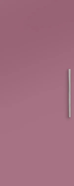 Endura FLS Smooth Dulux Never Forget by Corinthian Doors, a External Doors for sale on Style Sourcebook