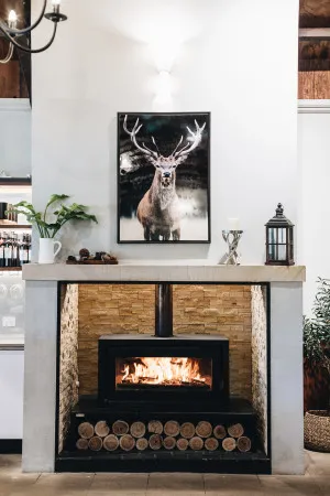 Celestial 900 Freestanding by null, a Fireplaces for sale on Style Sourcebook