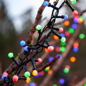 Eglo Multi-Colour LED Berry Lights for Indoor/Outdoor Festive Decoration 6m by Eglo, a LED Lighting for sale on Style Sourcebook