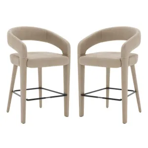 Eisha Velvet Bar Stool (Set of 2) by Luxo Furniture, a Bar Stools for sale on Style Sourcebook