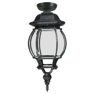 Flinders Medium IP44 Outdoor Under Eave, Antique Black by null, a Outdoor Lighting for sale on Style Sourcebook