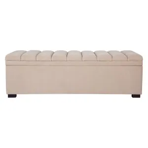 Soho Storage Bench Ottoman - Nude Velvet by Cafe Lighting and Living, a Ottomans for sale on Style Sourcebook
