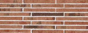 Daniel Robertson 470 - Apricot by Daniel Robertson, a Bricks for sale on Style Sourcebook