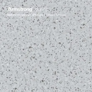 Natural Creations EarthCuts | Firenze Terrazzo 914 by Armstrong Flooring, a Luxury Vinyl for sale on Style Sourcebook