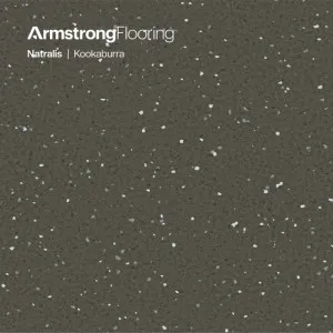 Natralis | Kookaburra by Armstrong Flooring, a Vinyl Sheets for sale on Style Sourcebook