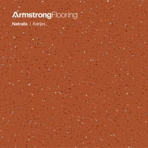 Natralis | Karijini by Armstrong Flooring, a Vinyl Sheets for sale on Style Sourcebook