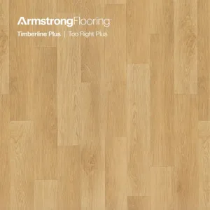 Timberline Plus | Too Right Plus by Armstrong Flooring, a Vinyl Sheets for sale on Style Sourcebook