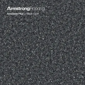 Accolade Plus | Black Opal by Armstrong Flooring, a Vinyl Sheets for sale on Style Sourcebook