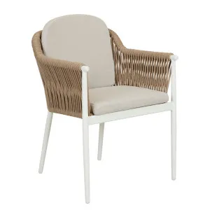 Delphi Dining Armchair - Coconut - Natural Weave by null, a Chairs for sale on Style Sourcebook