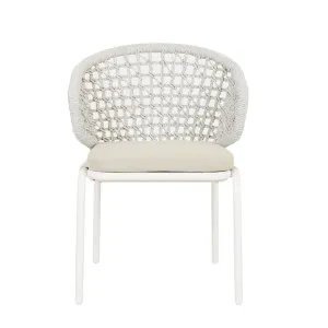 Montroi Elm Dining Armchair - Artic White - Soft Wheat by null, a Chairs for sale on Style Sourcebook