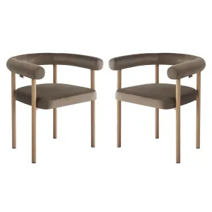 Ohio Velvet Dining Chair Set of 2 in Espresso Brown & Oak by Luxo Furniture, a Dining Chairs for sale on Style Sourcebook