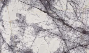New York marble by WK Stone, a Marble for sale on Style Sourcebook