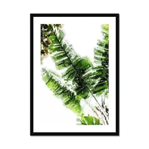 Banana Leaf Framed Print by null, a Prints for sale on Style Sourcebook