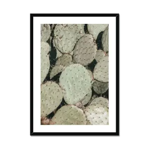 Prickly Pear Cactus Framed Print by null, a Prints for sale on Style Sourcebook