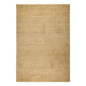 Haven Aliya Rug 240x330cm in Gold by OZ Design, a Contemporary Rugs for sale on Style Sourcebook