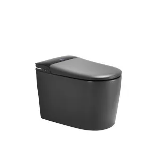 Smart Toilet by Aquaperla, a Toilets & Bidets for sale on Style Sourcebook