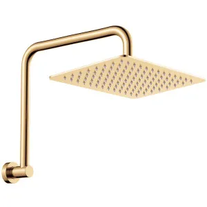 Tono Gooseneck Shower Arm Set, Urban Brass by Fienza, a Showers for sale on Style Sourcebook