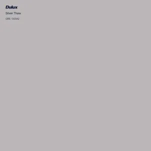 Silver Thaw by Dulux, a Greys for sale on Style Sourcebook