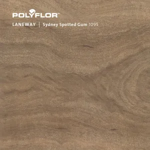 Laneway - Sydney Spotted Gum by Laneway, a Medium Neutral Vinyl for sale on Style Sourcebook