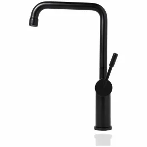 Titan Squareneck Kitchen Mixer Tap Model 1 Black Steel TTBS1 by Titan, a Kitchen Taps & Mixers for sale on Style Sourcebook