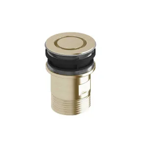 Sussex Taps Bath Plug and Waste LUXPVD® Brushed Platinum Gold SXBHPW-63 by Sussex Taps, a Kitchen Taps & Mixers for sale on Style Sourcebook