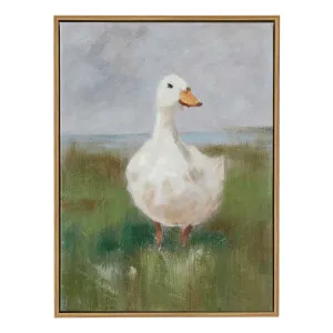 Daffy Box Framed Canvas in 30 x 40cm by OZ Design, a Painted Canvases for sale on Style Sourcebook