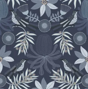Little Wattlebird Midnight Wallpaper by Urban Road, a Wallpaper for sale on Style Sourcebook
