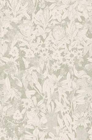 Monochrome Natives I Khaki Wallpaper by Urban Road, a Wallpaper for sale on Style Sourcebook