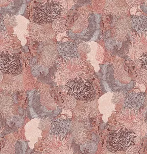 Natural Wonder Orange Pinks Wallpaper by Urban Road, a Wallpaper for sale on Style Sourcebook