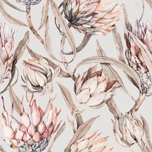 Perfect Proteas Natural Wallpaper by Urban Road, a Wallpaper for sale on Style Sourcebook