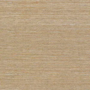 Off the Coast Light Faux Seagrass Beige Wallpaper by Urban Road, a Wallpaper for sale on Style Sourcebook