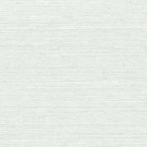 Off the Coast Light Faux Seagrass Aqua Wallpaper by Urban Road, a Wallpaper for sale on Style Sourcebook