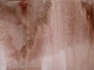 Aquila Wallpaper by Urban Road, a Wallpaper for sale on Style Sourcebook