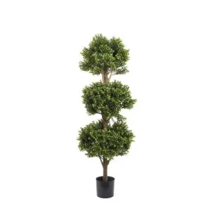 Boxwood Triple Ball Tree 1.2m by Florabelle Living, a Plants for sale on Style Sourcebook