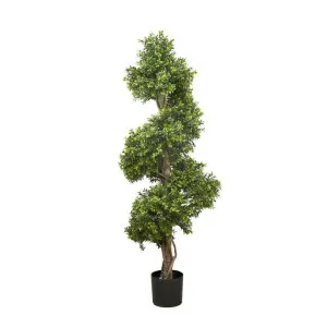 Boxwood Spiral Tree 1.4m by Florabelle Living, a Plants for sale on Style Sourcebook