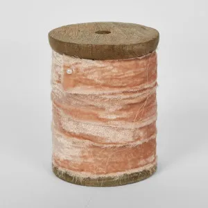 PEACH VELVET RIBBON 10M by Florabelle Living, a Decorative Accessories for sale on Style Sourcebook