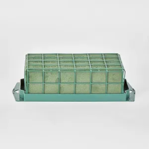 Caged Oasis Floral Foam attached to plastic base by Florabelle Living, a Plants for sale on Style Sourcebook