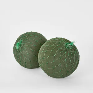 Oasis Floral Foam Netted Sphere 18cm by Florabelle Living, a Plants for sale on Style Sourcebook