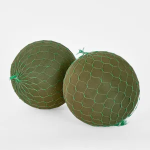 Oasis Floral Foam Netted Sphere 20cm by Florabelle Living, a Plants for sale on Style Sourcebook