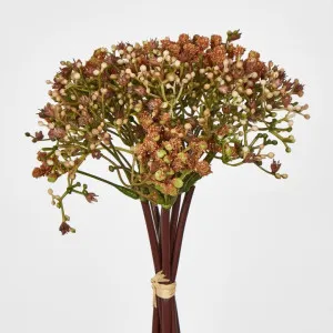Baby's Breath Bouquet Brown by Florabelle Living, a Plants for sale on Style Sourcebook