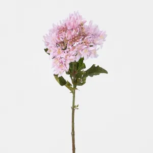 Agapanthus Stem Lilac by Florabelle Living, a Plants for sale on Style Sourcebook