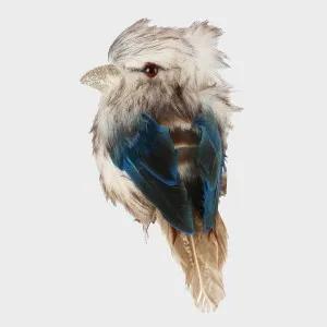 Kookaburra Small by Florabelle Living, a Christmas for sale on Style Sourcebook