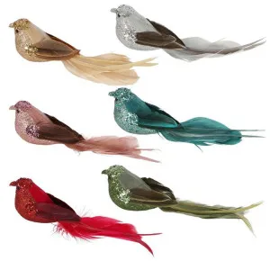 Zinzi Boxed Set of Six Clip on Birds Assorted by Florabelle Living, a Christmas for sale on Style Sourcebook
