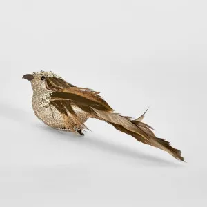 Zanda Clip on Bird (Set of 6) by Florabelle Living, a Christmas for sale on Style Sourcebook