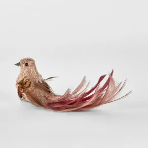 Burle Clip on Bird Pink (Set of 6) by Florabelle Living, a Christmas for sale on Style Sourcebook