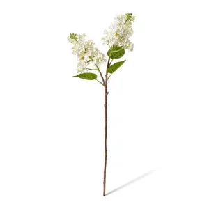 Lilac Spray - 7 x 18 x 66cm by Elme Living, a Plants for sale on Style Sourcebook