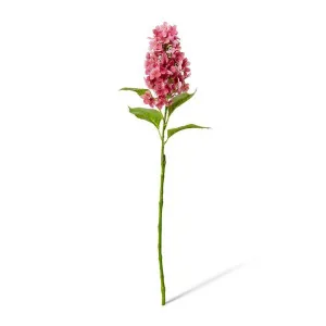 Cone Hydrangea  - 20 x 20 x 75cm by Elme Living, a Plants for sale on Style Sourcebook