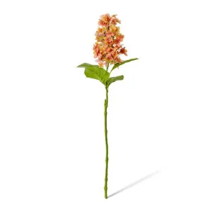 Cone Hydrangea  - 20 x 20 x 75cm by Elme Living, a Plants for sale on Style Sourcebook